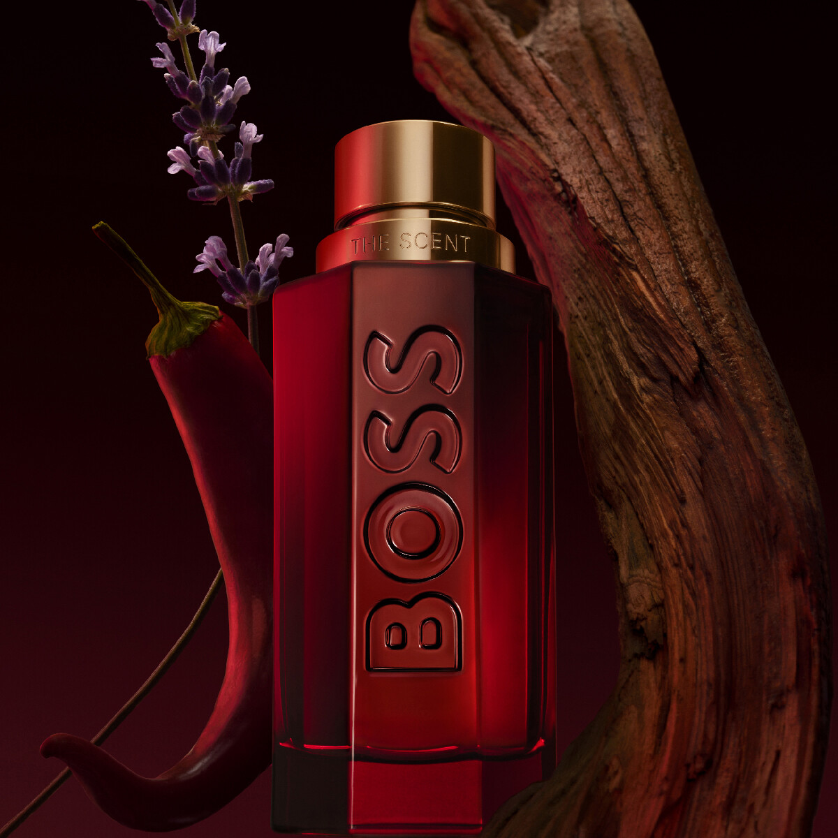 HUGO BOSS THE SCENT ELIXIR FOR HIM EAU DE PARFUM